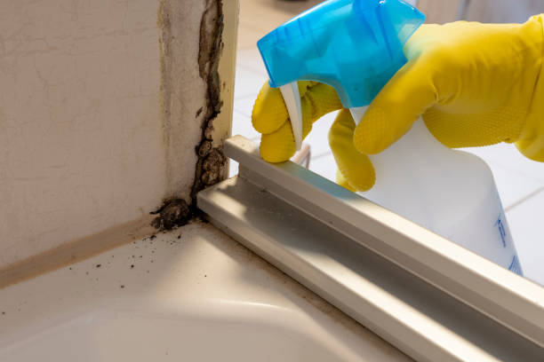 Best Industrial Mold Remediation in Athens, GA