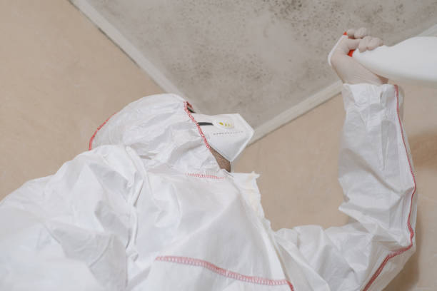 Best Mold Remediation for Specific Building Types in Athens, GA